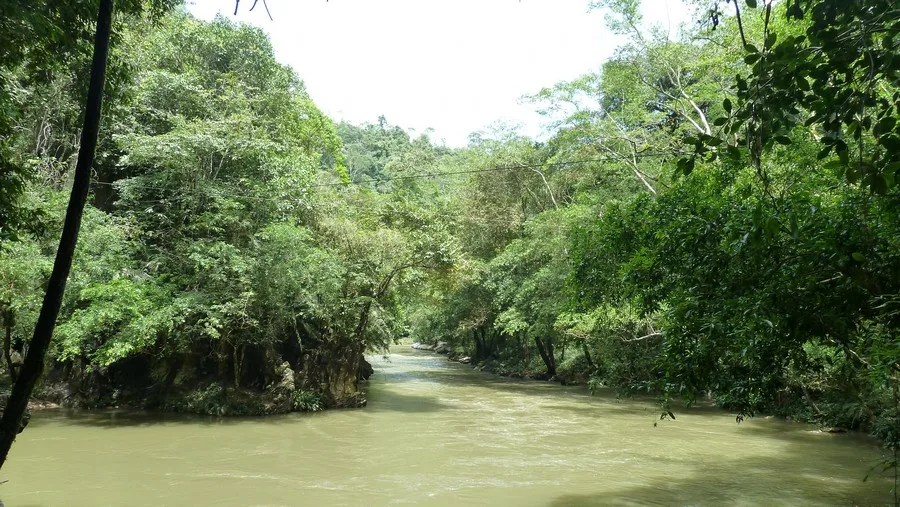 Rio Claro