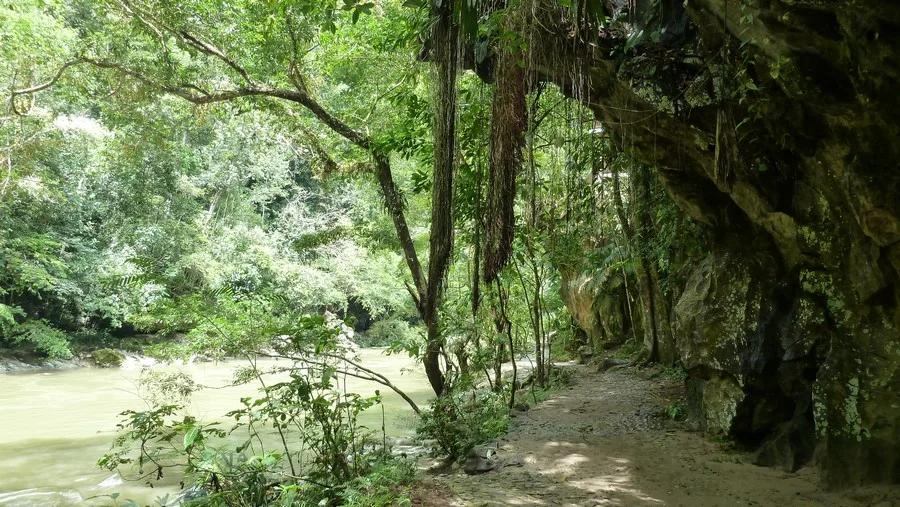 Rio Claro