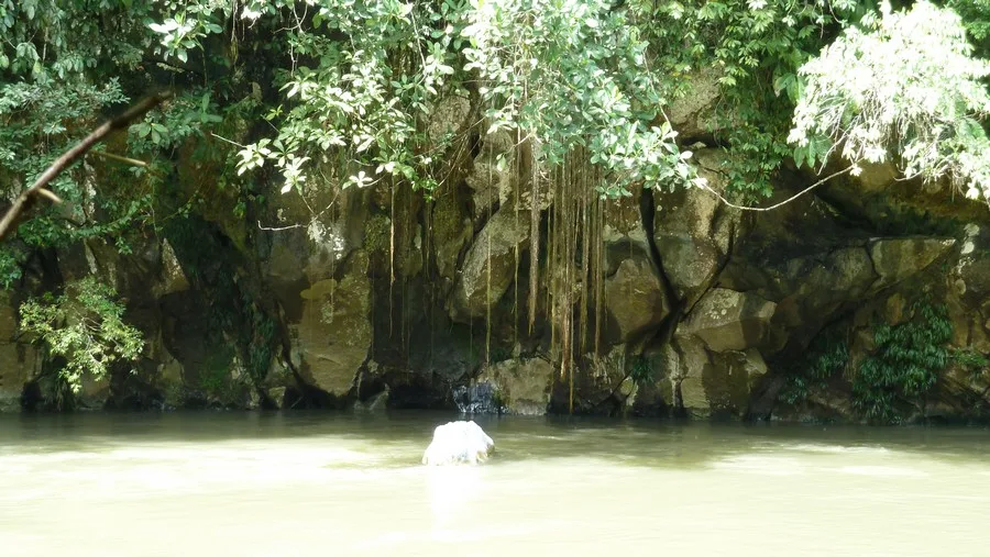 Rio Claro
