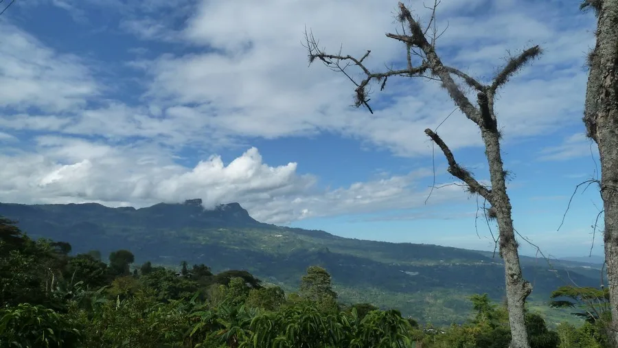 Chicaque