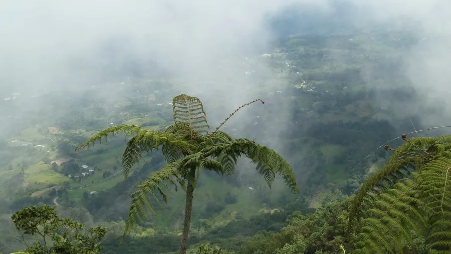 Chicaque