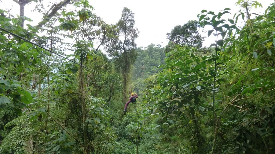 Chicaque