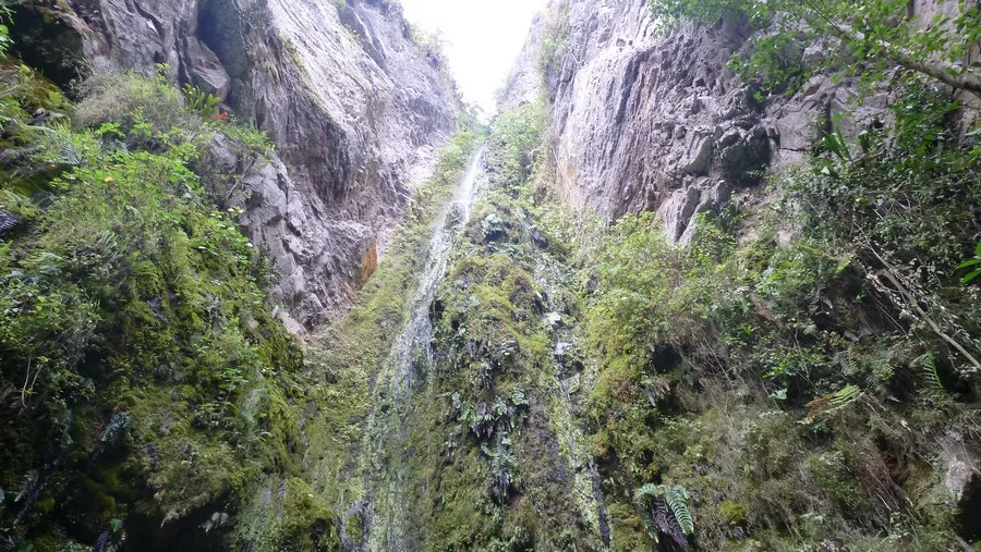 Chicaque