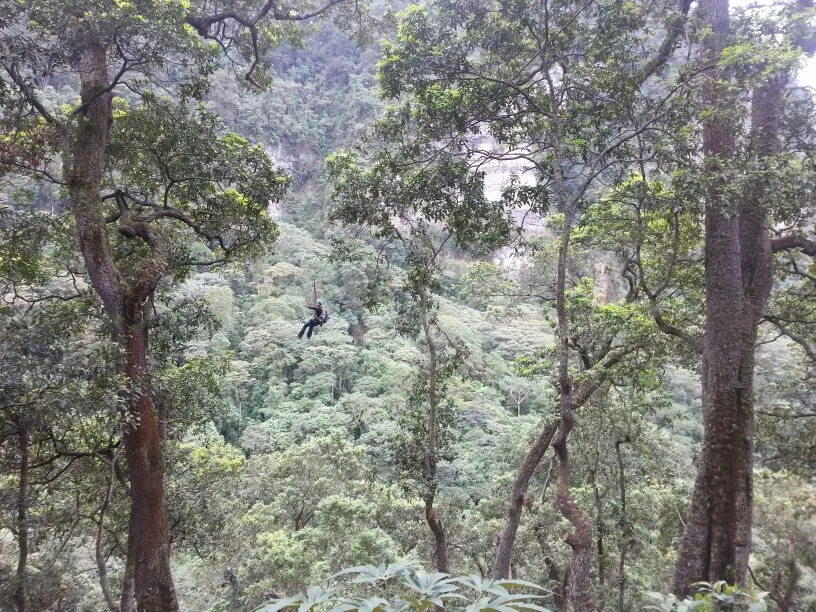 Parque Natural Chicaque
