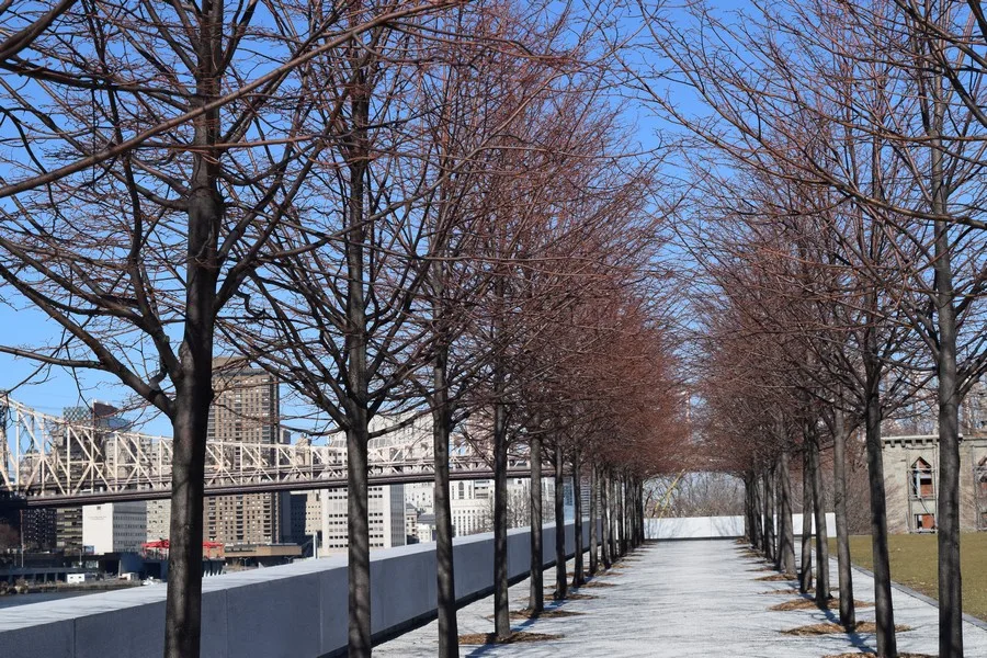 Parken in New York - Franklin D. Roosevelt