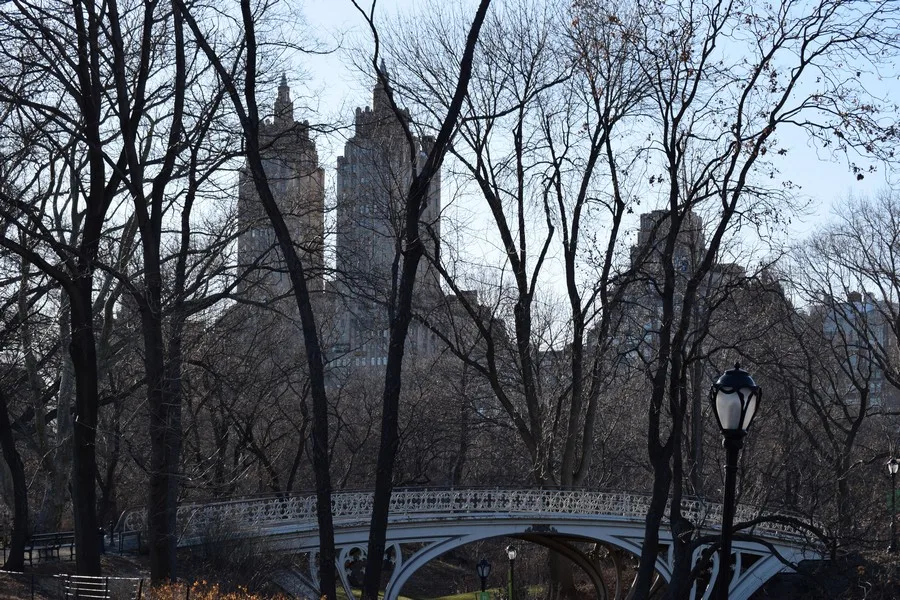 Parken in New York - Central Park