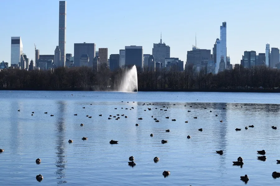Parken in New York - Central Park
