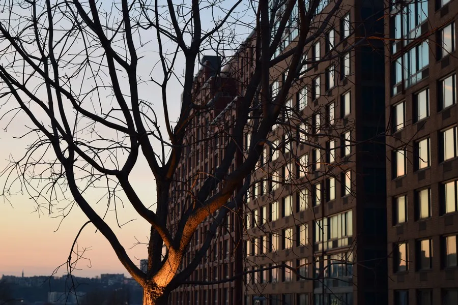 Parken in New York - The High Line