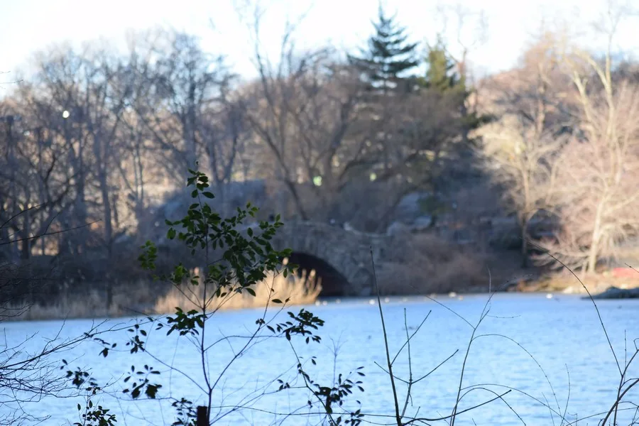 Parken in New York - Central Park