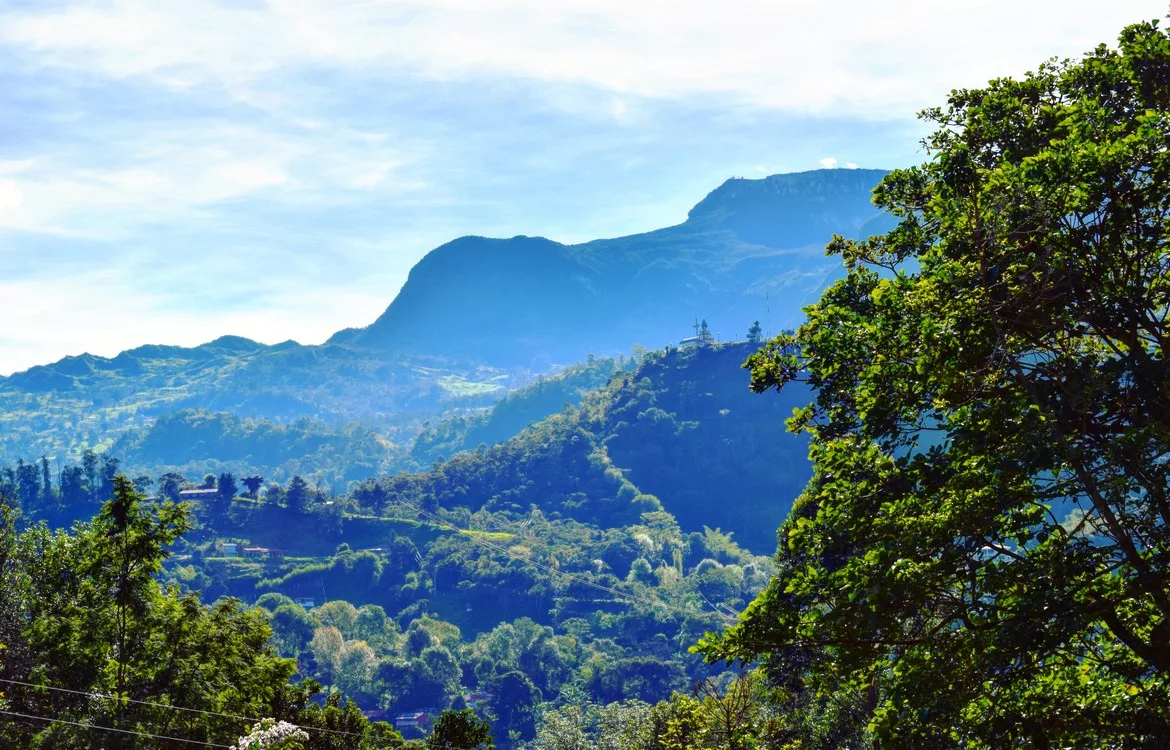 Flora and fauna Colombia