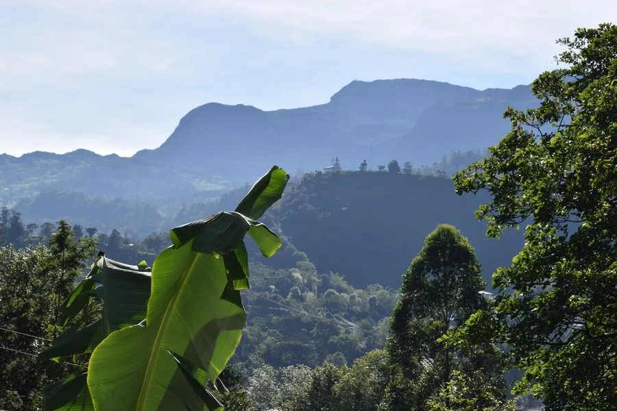 San Francisco, Colombia - Aire Libre Cabañas