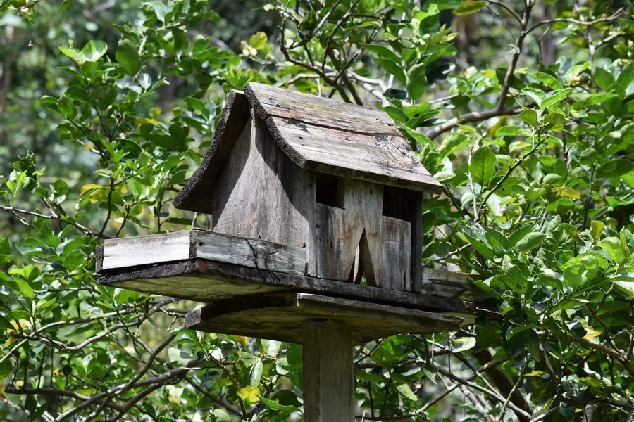 San Francisco, Colombia - Aire Libre Cabañas