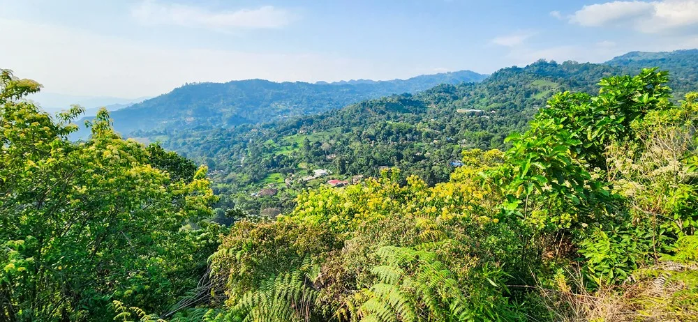 Natuur omgeving Bogotá