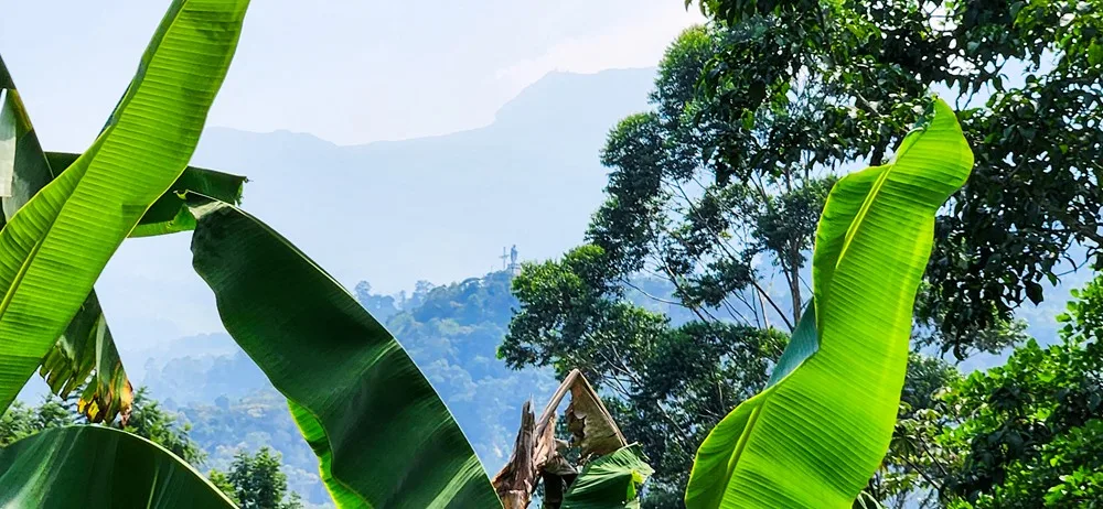 Reizen in Colombia beste hotels