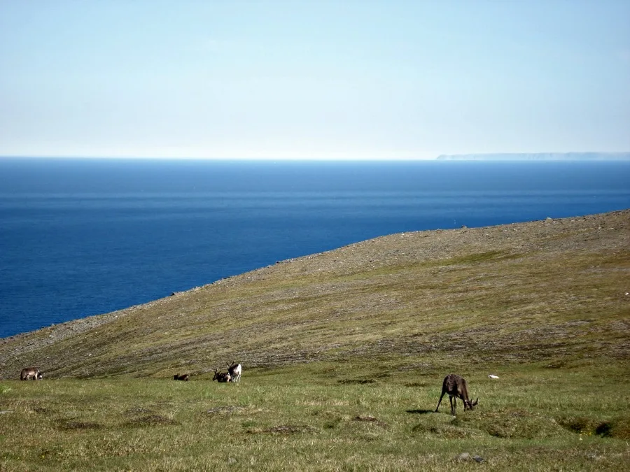 Noordkaap - Noorwegen
