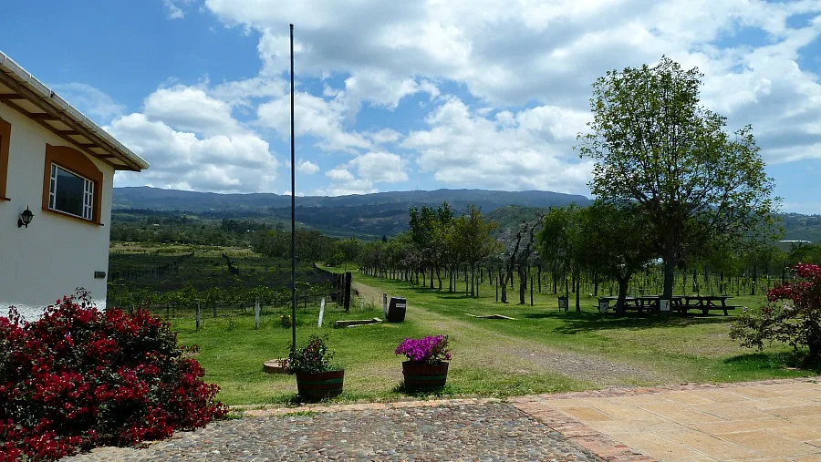 Wijngaard Villa de Leyva Colombia