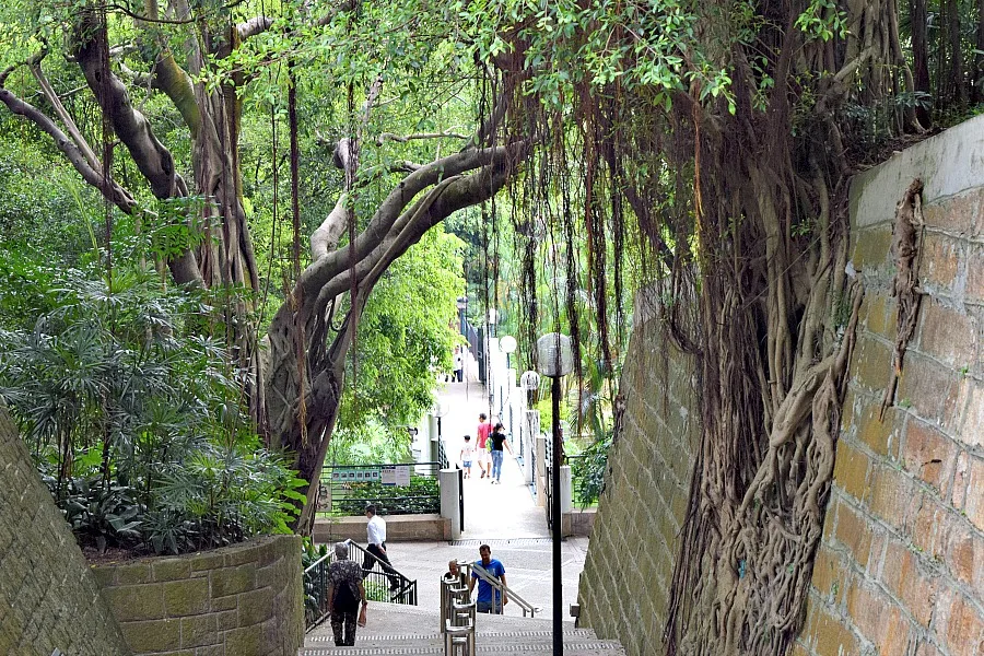 Kowloon Park - parken in Hongkong