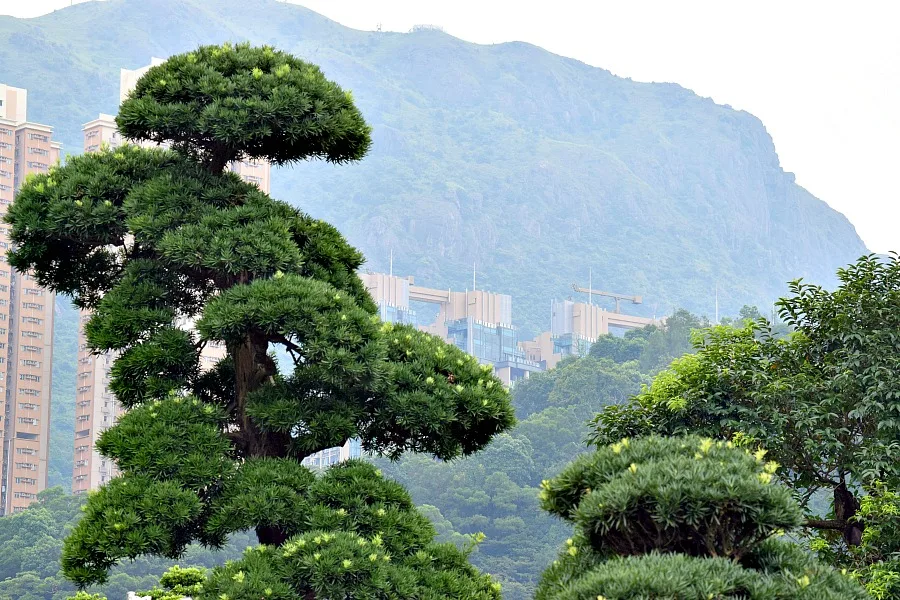 Nan Lian Garden - parken in Hongkong