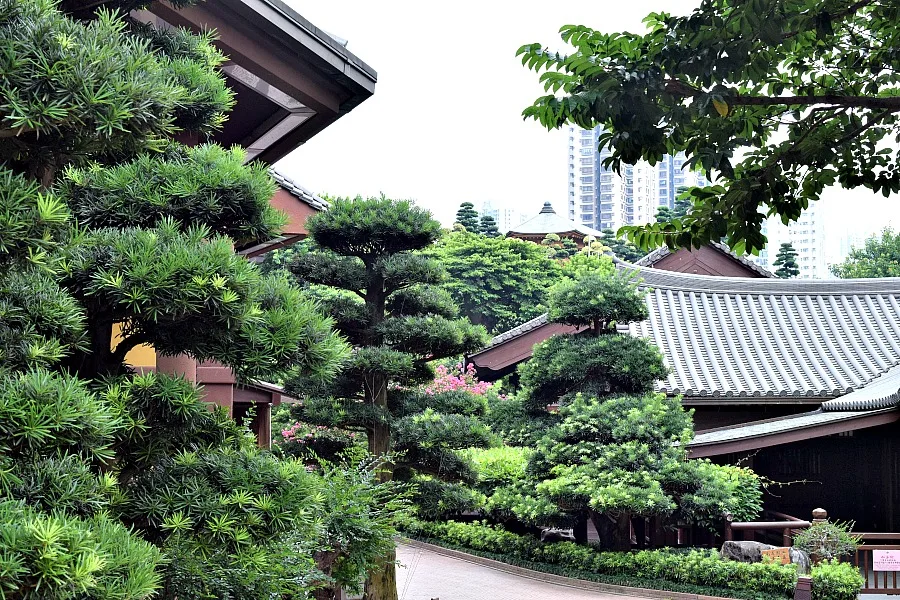 Nan Lian Garden - parken in Hongkong