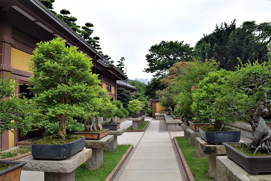 Nan Lian Garden - parken in Hongkong