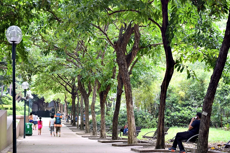 Kowloon Park - parken in Hongkong