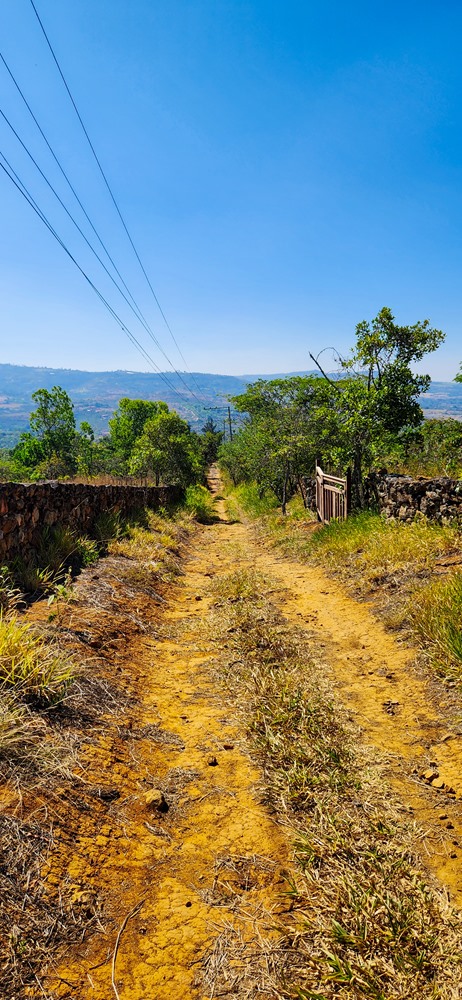 Hiking in Colombia