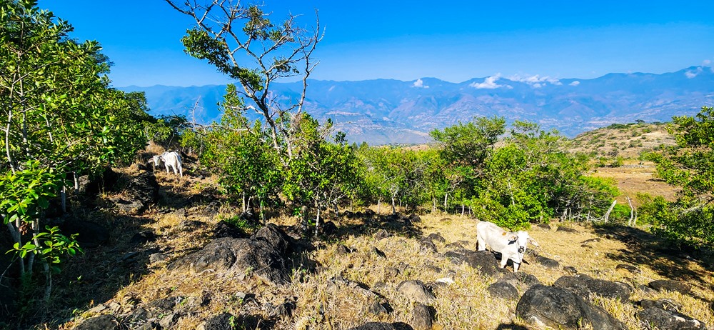 Hikes in Barichara