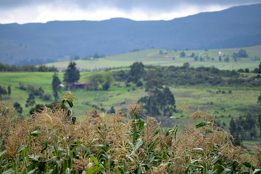 Toca - Boyacá - Colombia