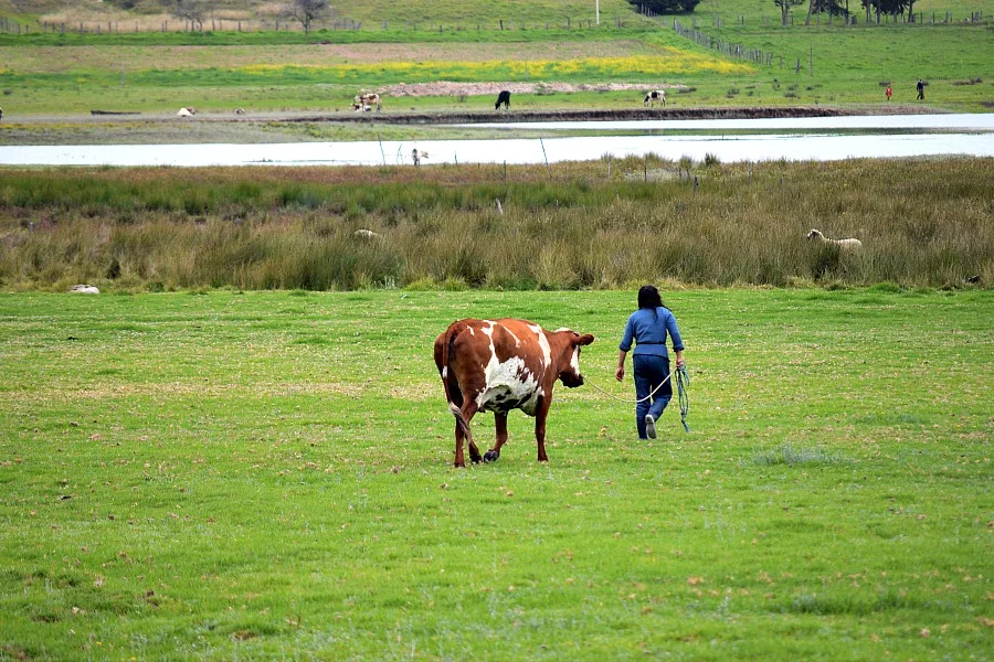 Toca - Boyacá - Colombia