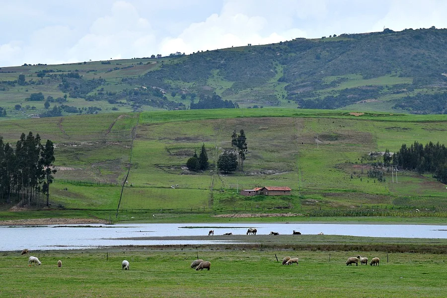 Toca - Boyacá - Colombia