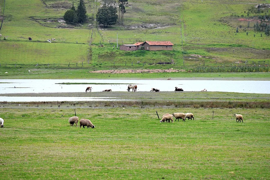 Embalse de Copa