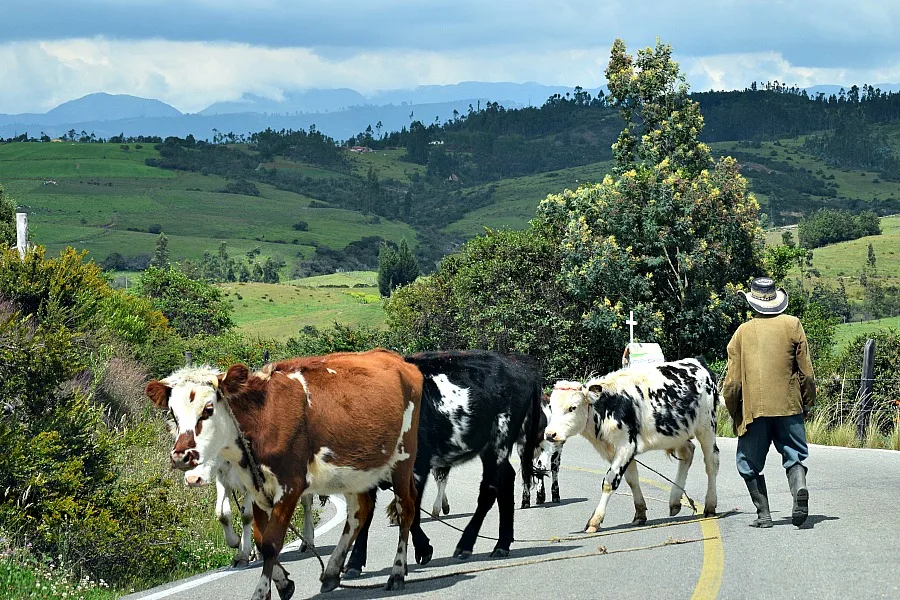 Toca - Boyacá - Colombia