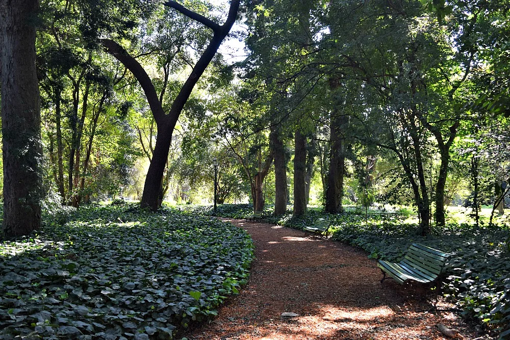 Parken in Buenos Aires - Botanische Tuin