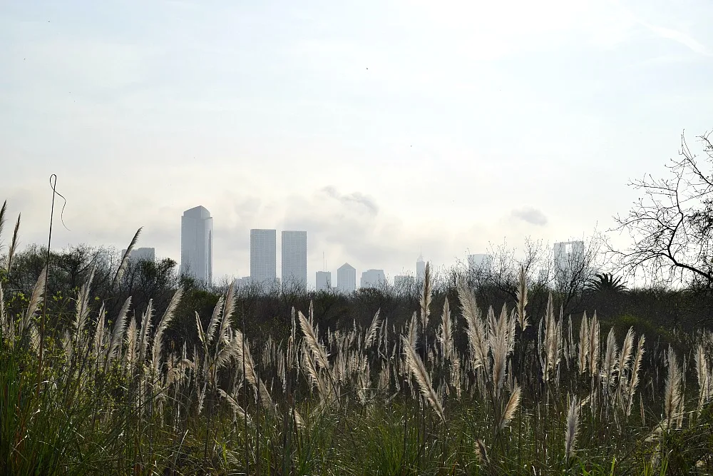 Parken in Buenos Aires - Reserva Ecológico