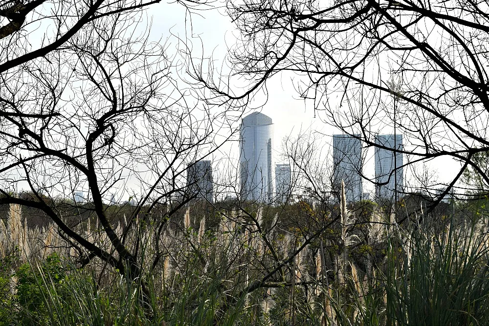 Parken in Buenos Aires - Reserva Ecológico