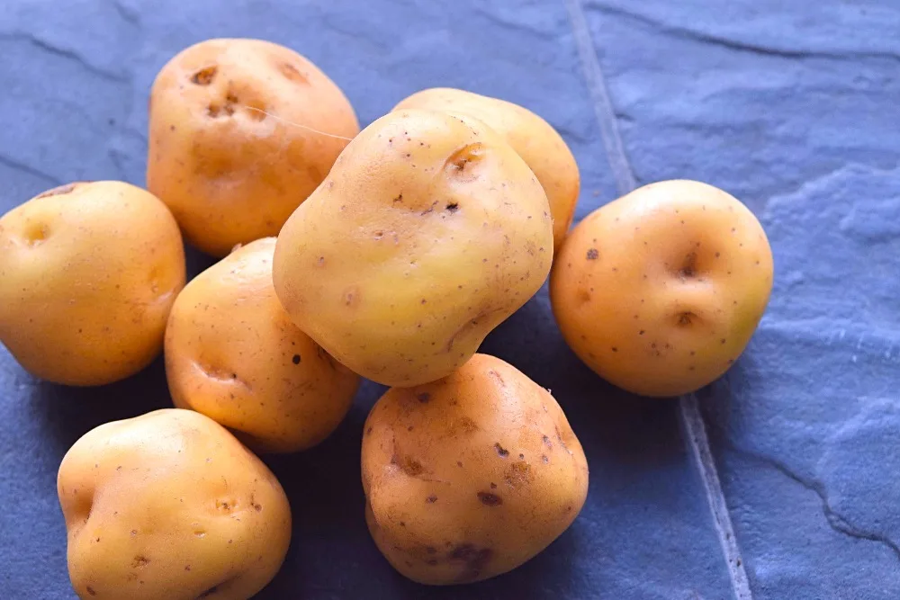 Aardappelen ajiaco - papa criolla