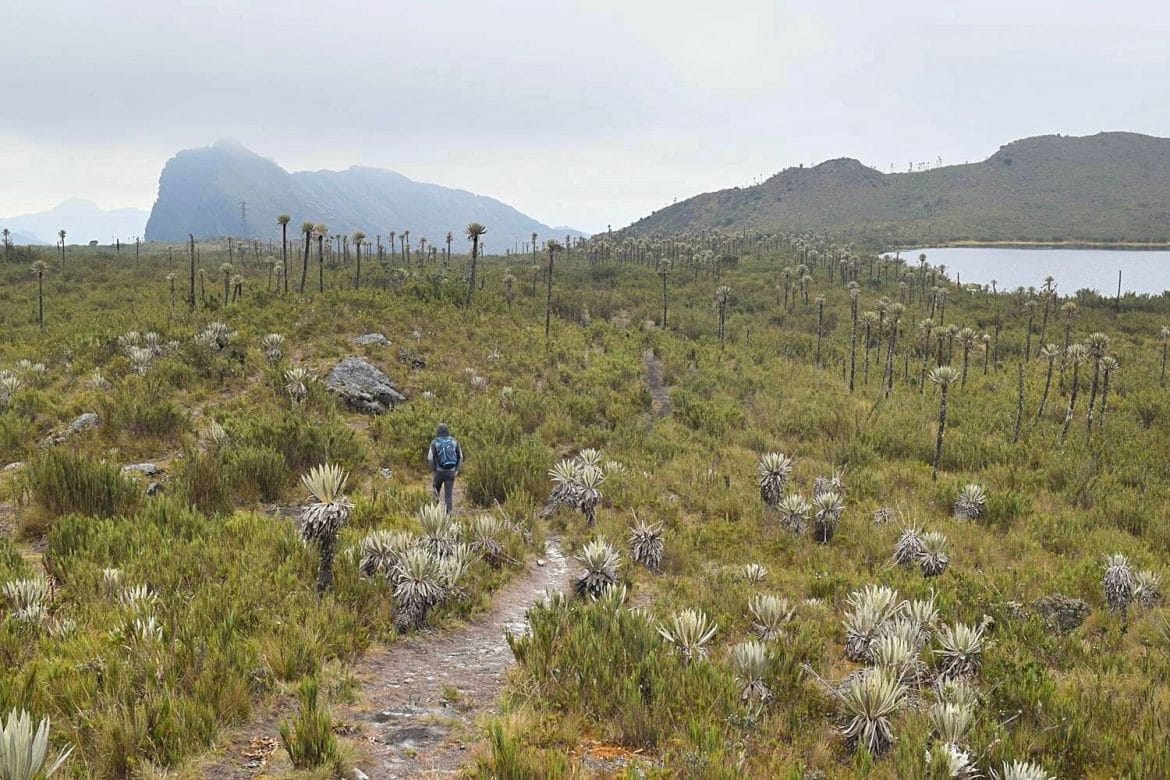 Chingaza Colombia National Park - hiking to Lagunas de Buitrago