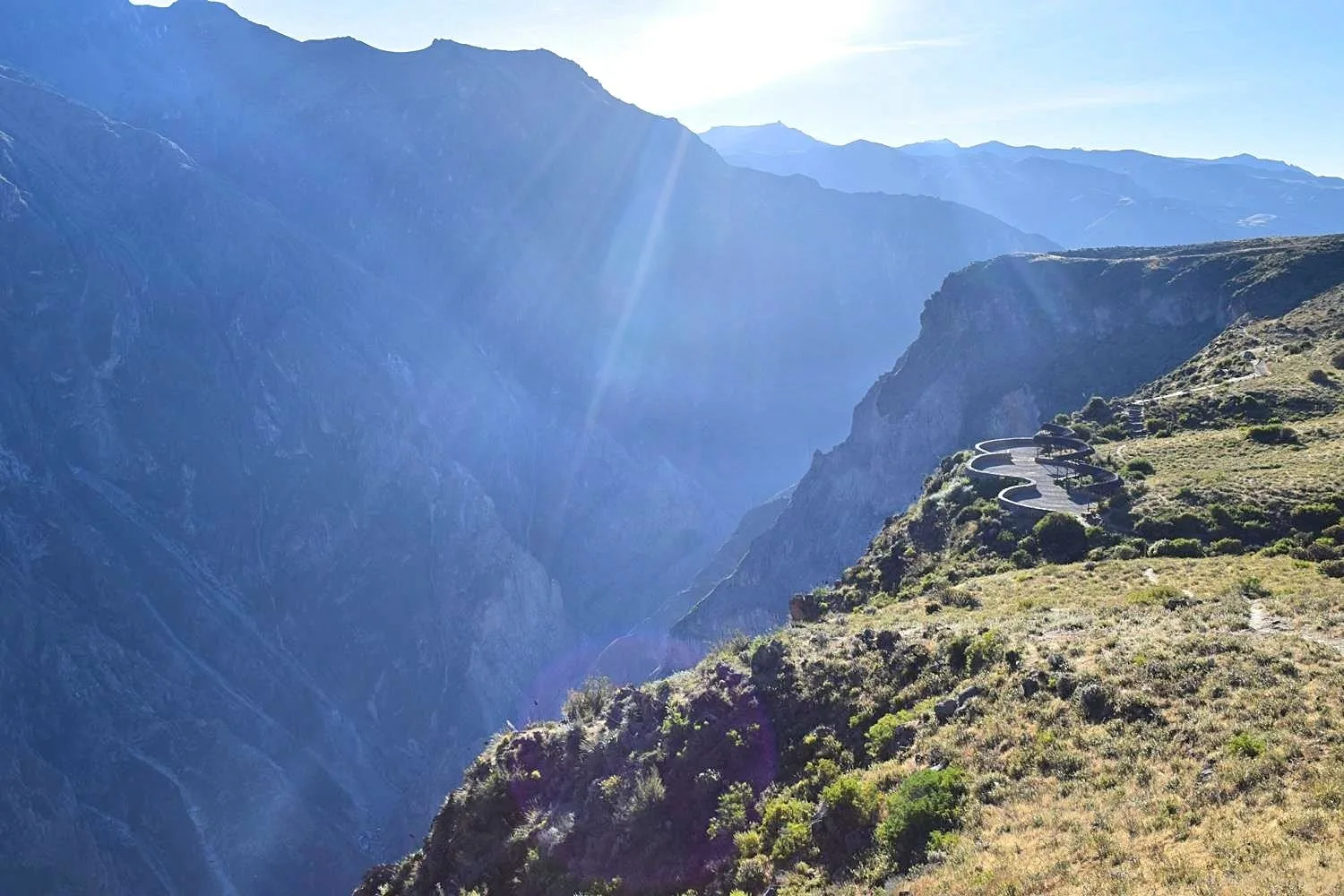 Condors spotten in Colca Canyon Peru