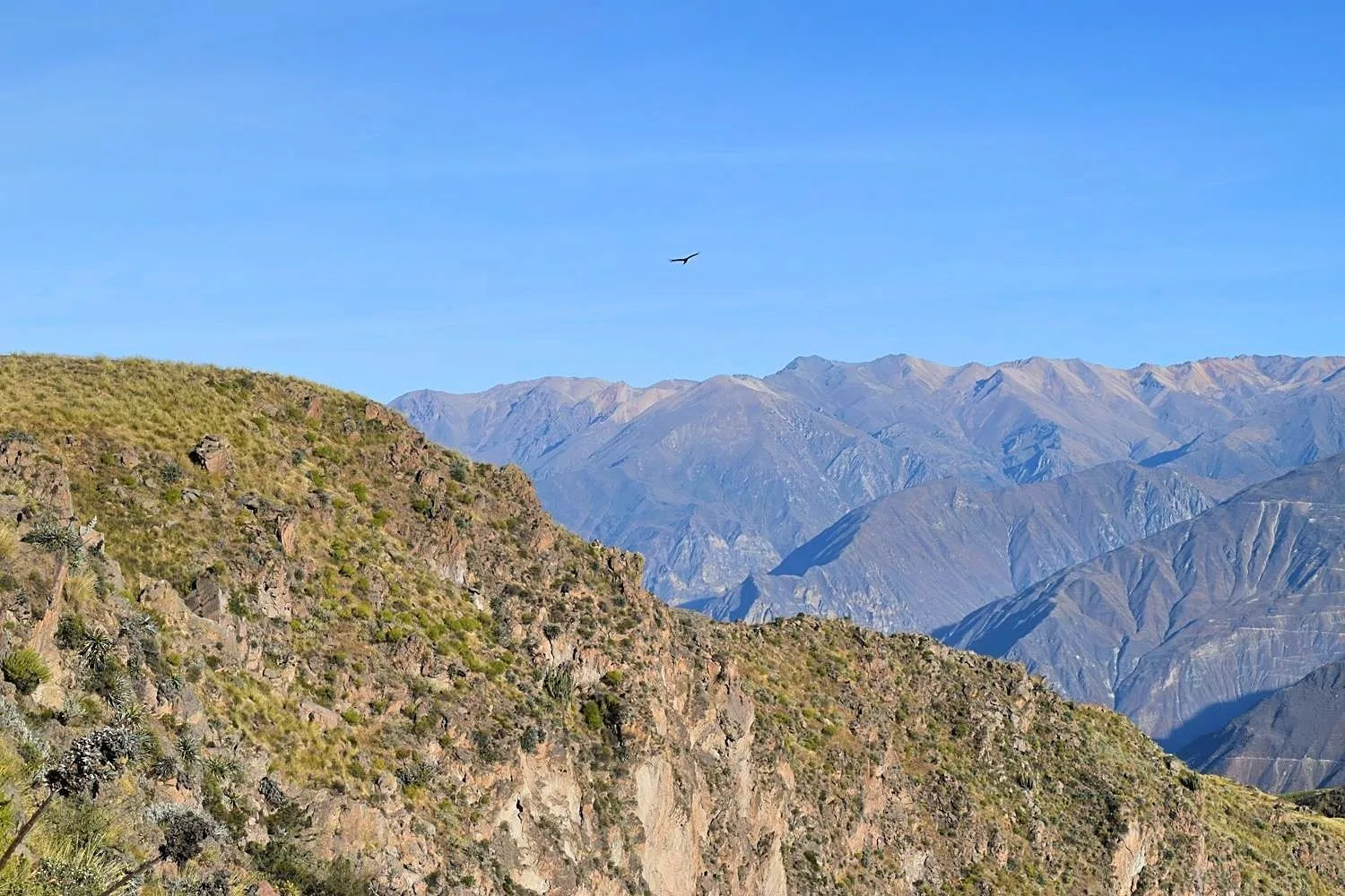 Cruz del Condor Colca Canyon Peru
