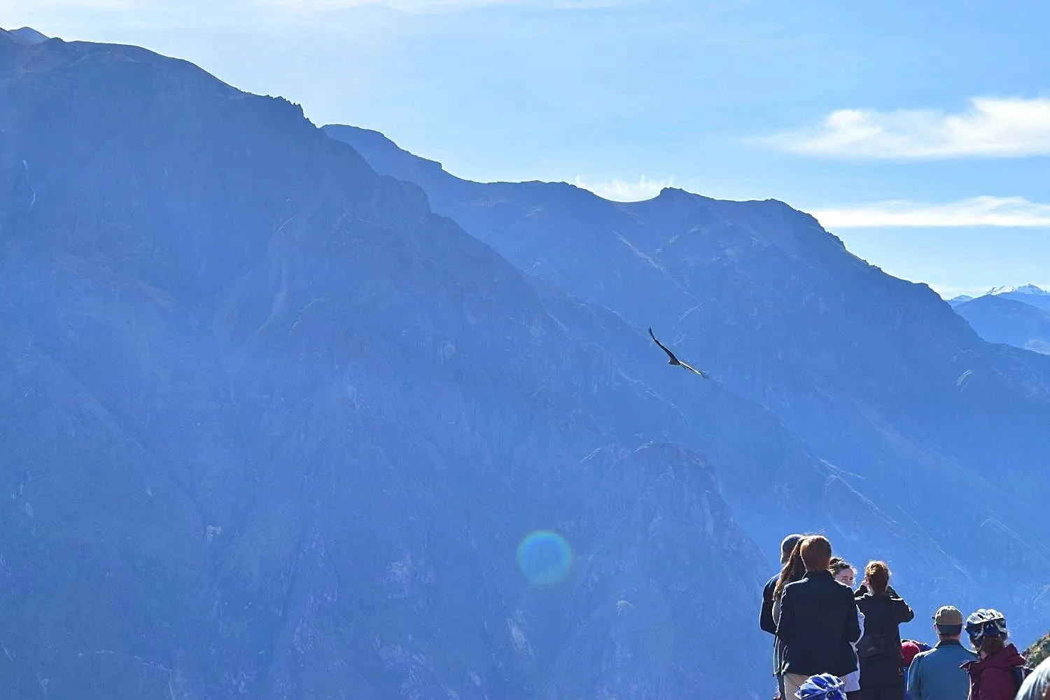 Cruz del Condor Colca Canyon Peru