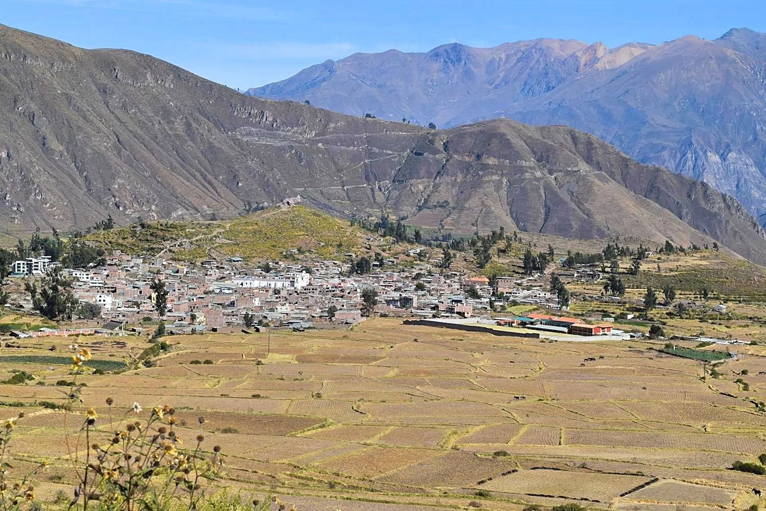 Fietsen in de Colca Canyon Peru