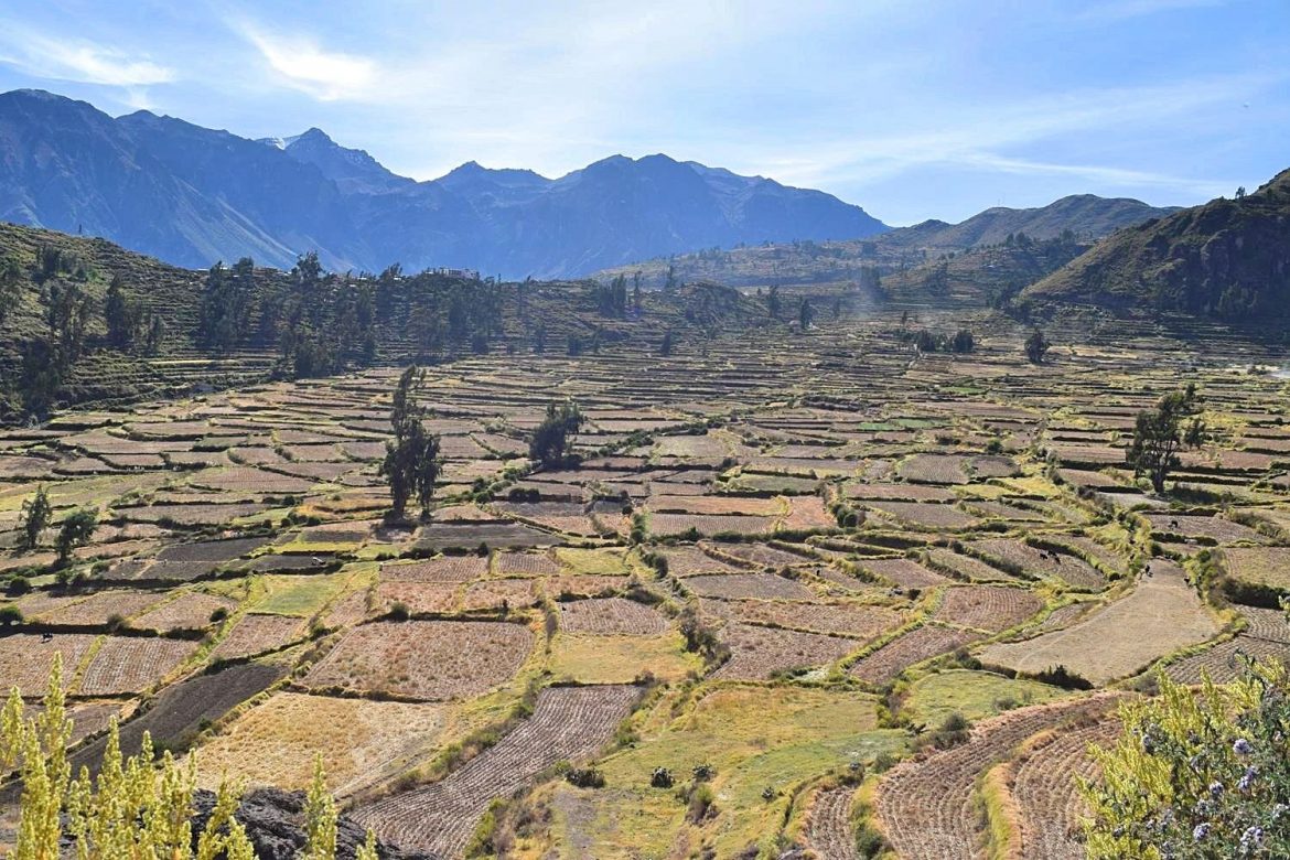 Fietsen in de Colca Canyon Peru