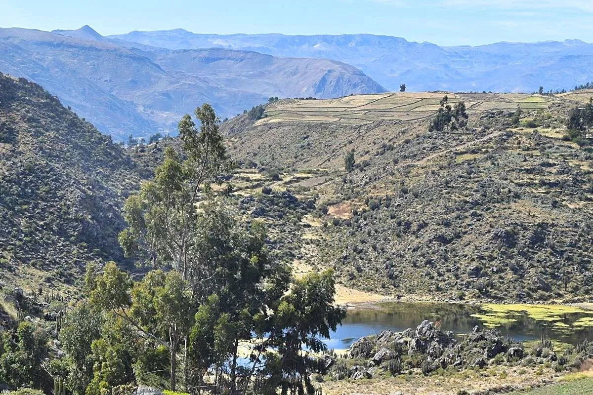 Hiken in Colca Canyon Peru