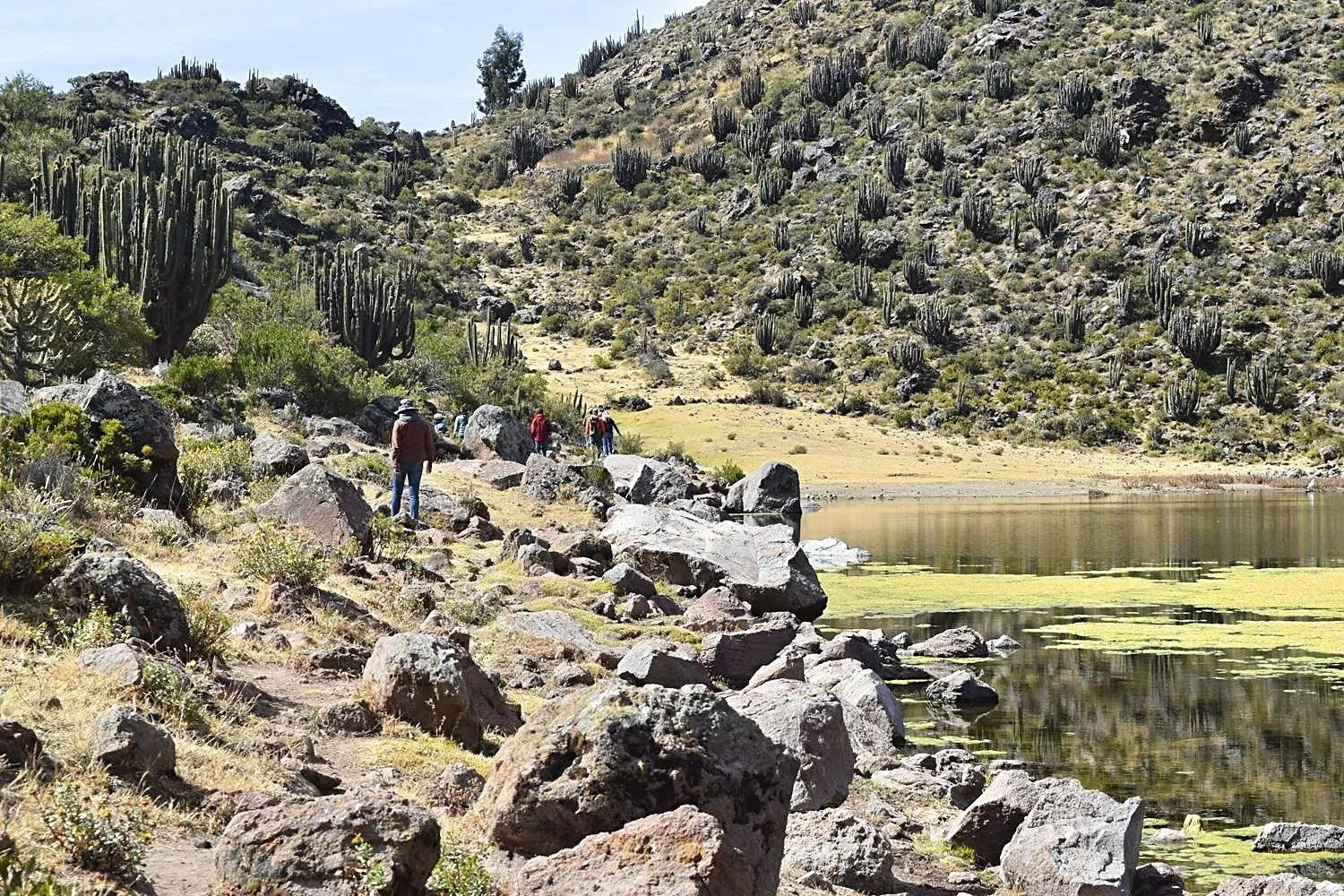Hiken in Colca Canyon Peru