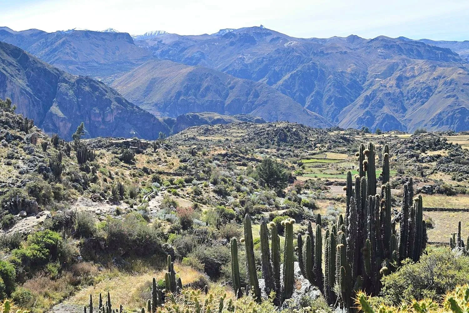 Hiken in Colca Canyon Peru