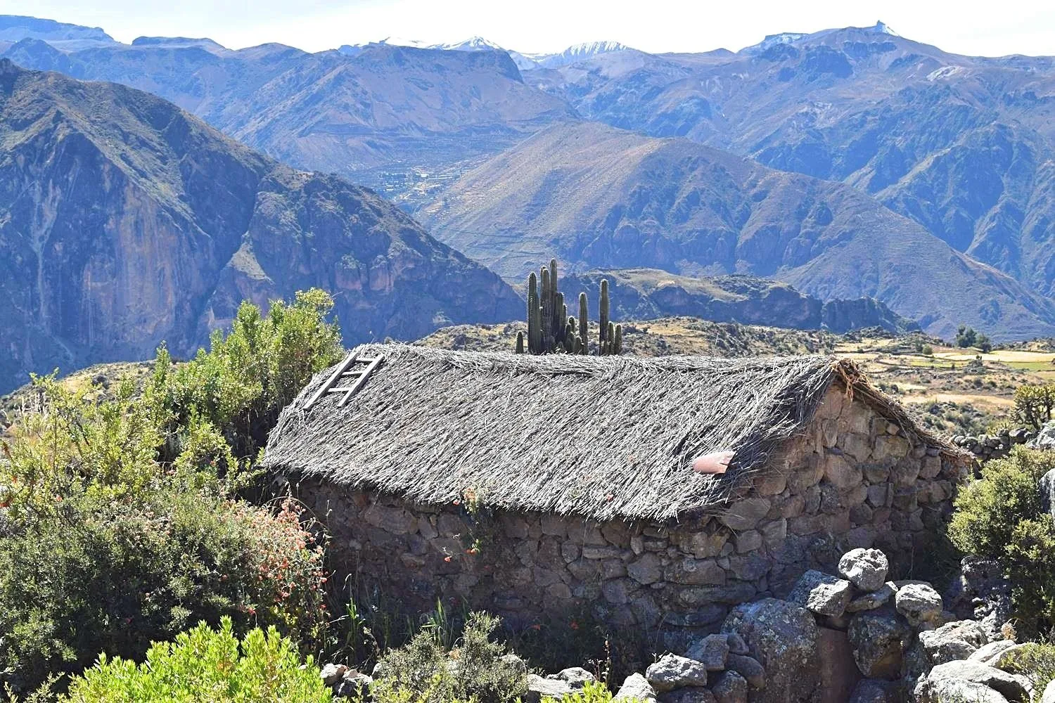 Hiken in Colca Canyon Peru