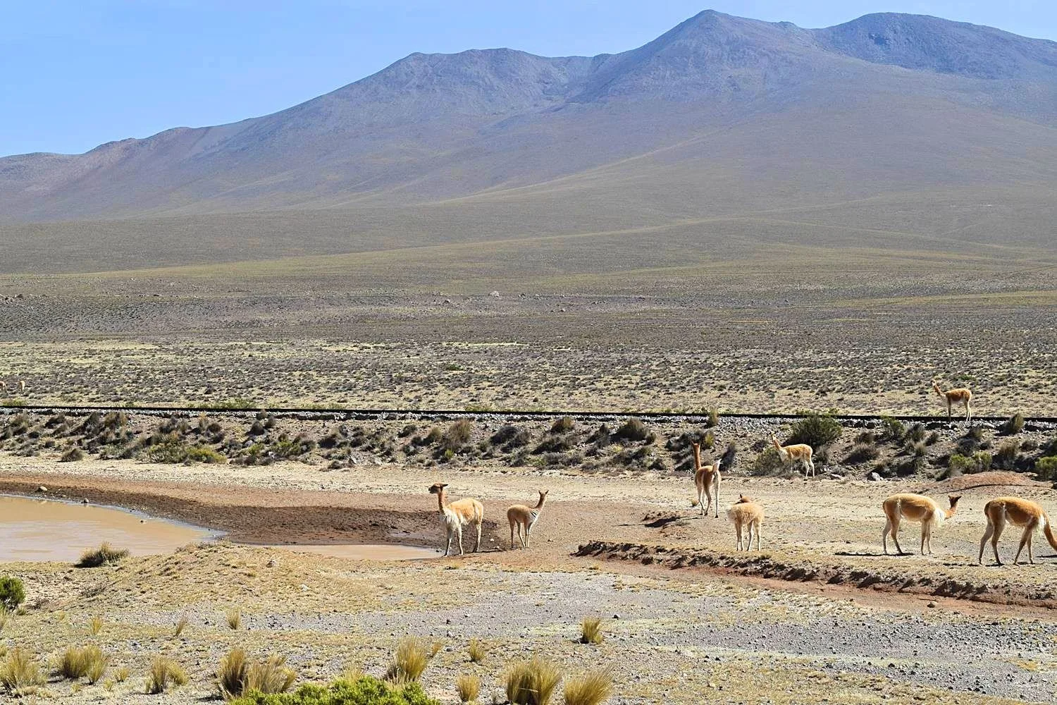 Reizen Peru