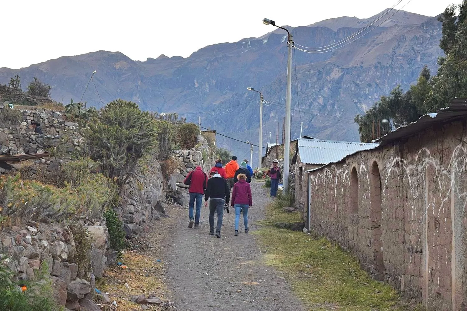 Wandelen in de Colca Vallei Peru