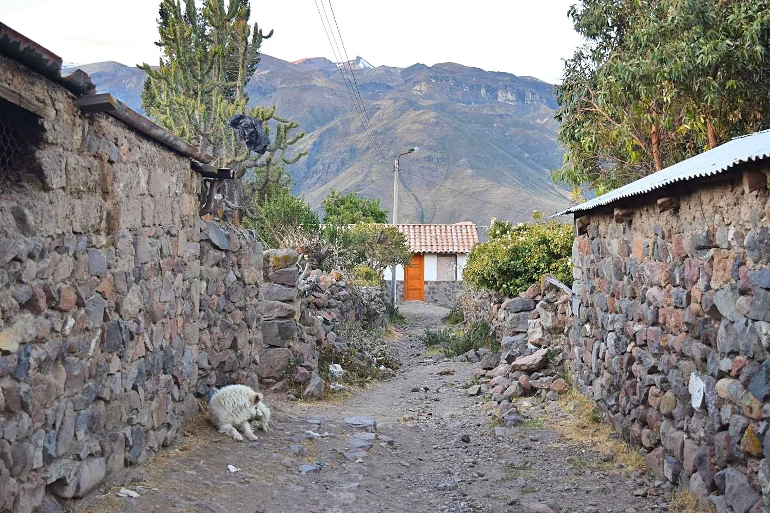Wandelen in de Colca Vallei Peru
