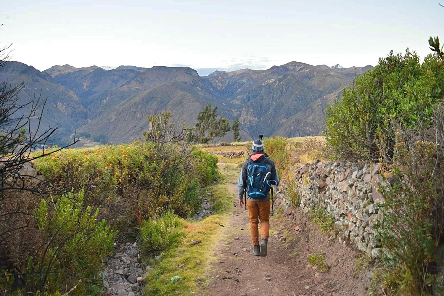 Wandelen in de Colca Vallei Peru